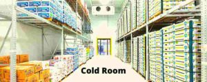 Read more about the article All about the cold storage